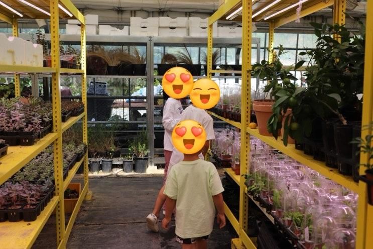 성큼 다가온 가을바람 부는 9월 아이와 즐기는 진밭골 팜다원, 작은 자연 놀이터 같은 카페(대구 팜당원)