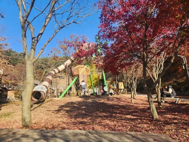 당진여행 당진 단풍 나들이 삼선산수목원 아이와