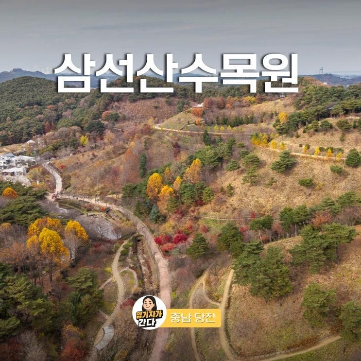 충남 당진 아이랑 가볼만한곳 삼선산수목원 놀이터 여행코스