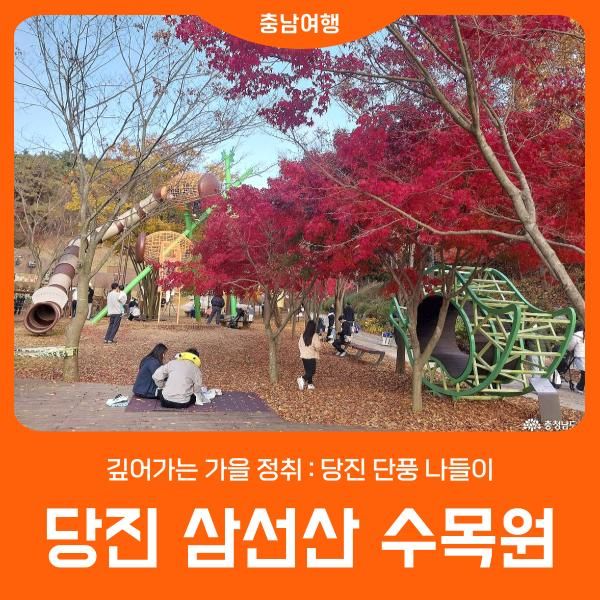 [당진 삼선산 수목원] 깊어가는 가을 : 당진 단풍 나들이