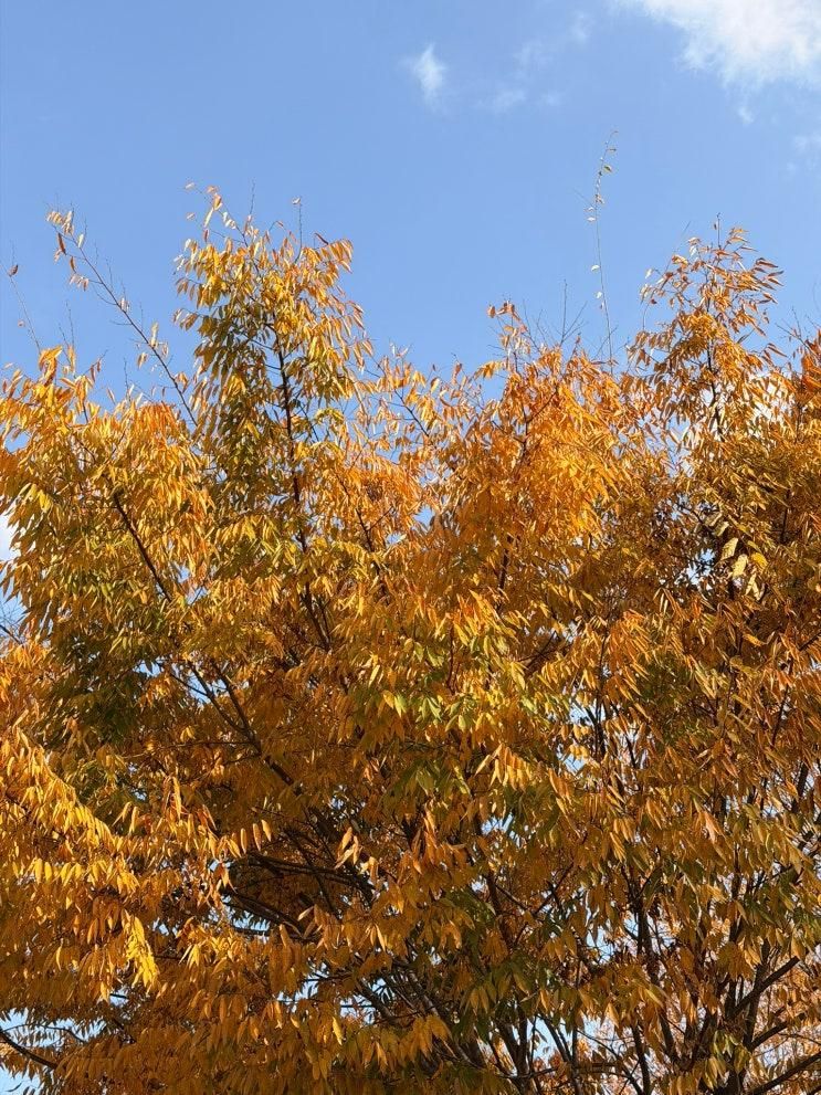 창녕 우포늪 생태체험장