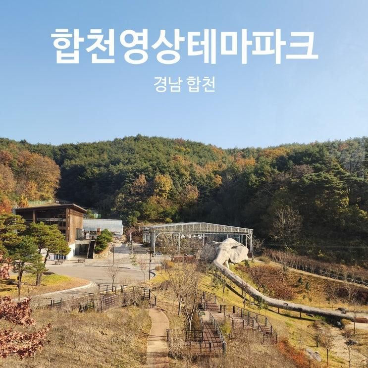 합천 영상테마파크 다자녀 혜택 후기｜경남 실내 아이랑 목제문화체험장