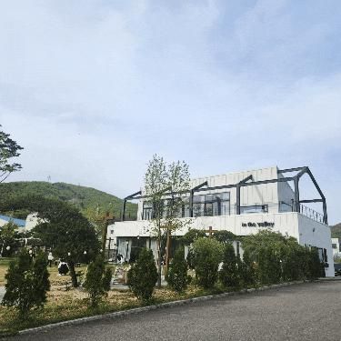 용인 양지 카페 인더밸리 애견동반 아이들과 내돈내산 후기