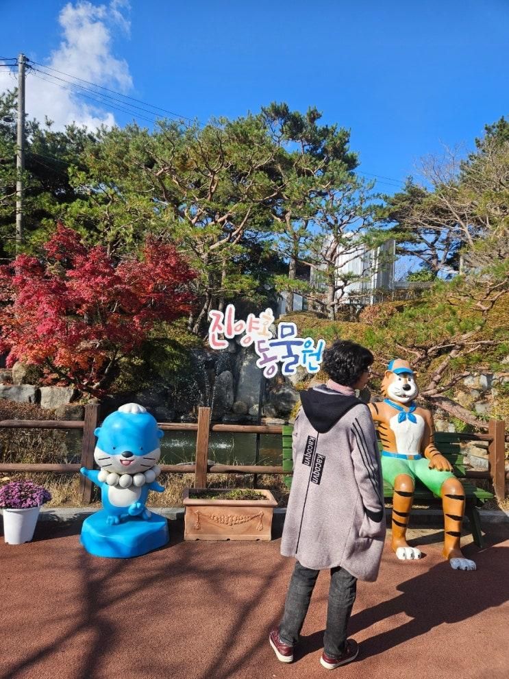 호랑이, 곰 보러 진주로! 👨‍👩‍👧‍👦 진양호 동물원, 아이랑 가볼 만한 곳 추천