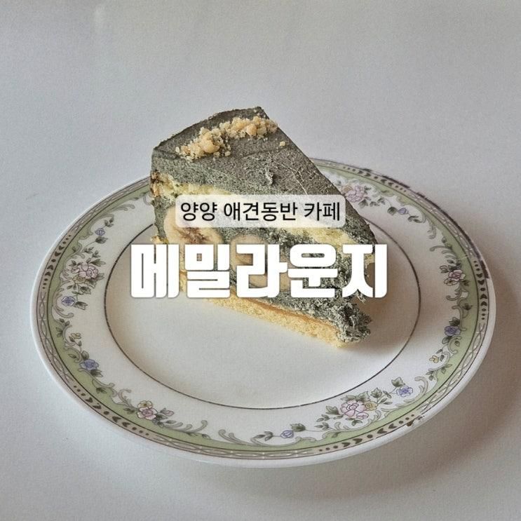 [양양] 휴양지 느낌 양양 분위기 제대로 나는 양양 카페 메밀로 만든 이색 메뉴 : 메밀라운지