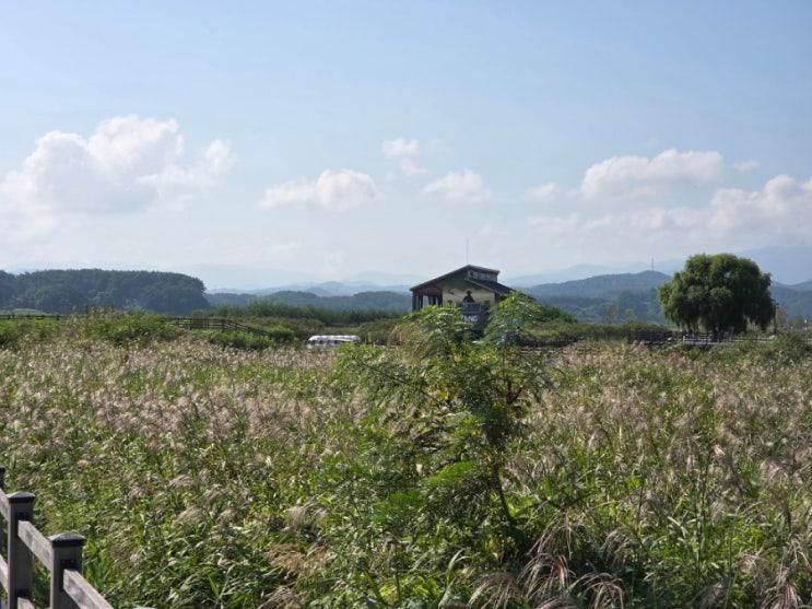 양양송이조각공원 남대천생태공원