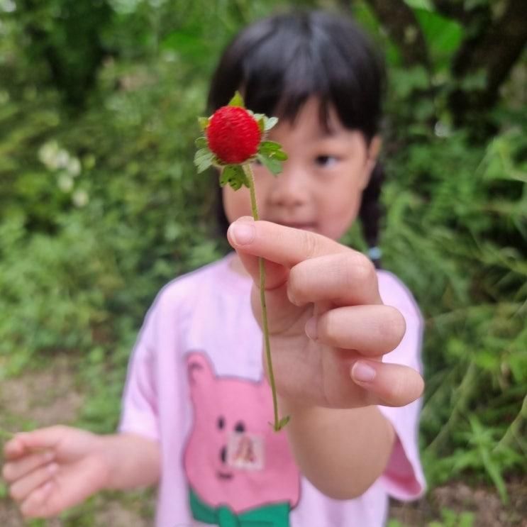 아빠들과 함께하는 남양주 소소리농장