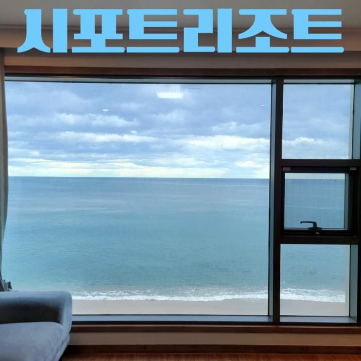 영덕 오션뷰 숙소 가성비 좋은 10만원대 호텔 시포트리조트