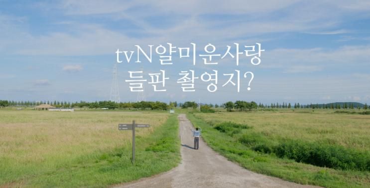 tvN얄미운사랑7회 이정재X현준 메타세콰이어길들판 석양노을풍차 촬영지 대부도여행