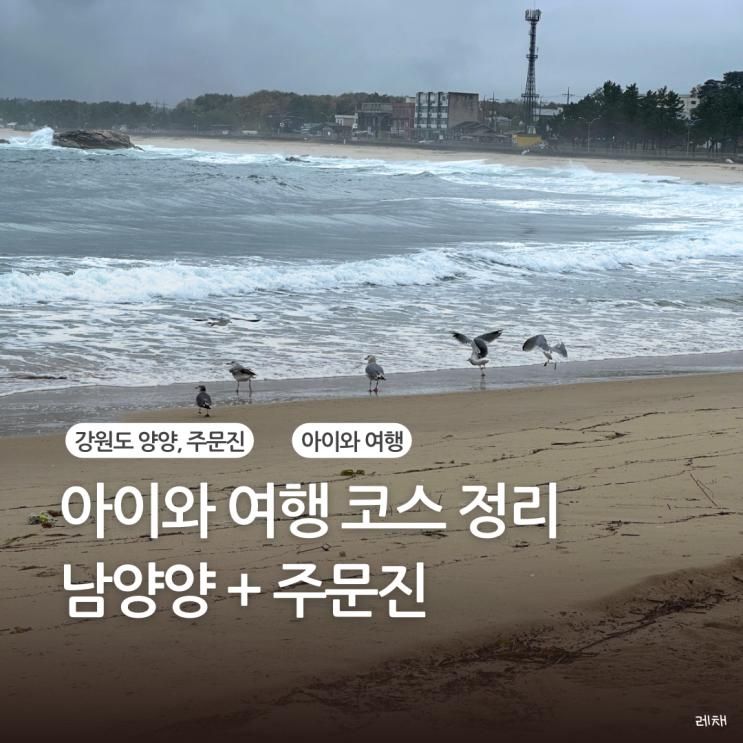 아이와 강원도 양양 주문진 여행 코스 실패 없는 가볼만한 곳 top6 정리