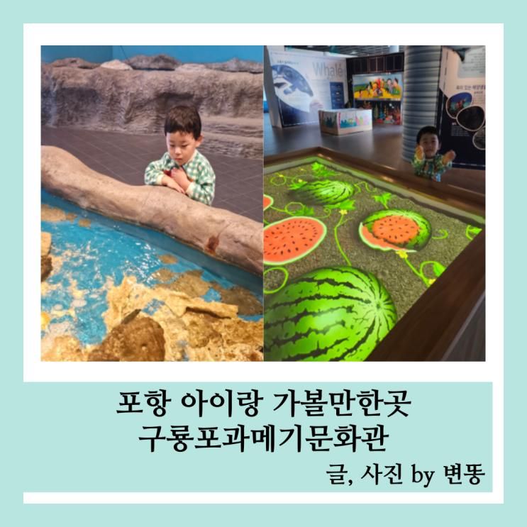 포항 아이랑 가볼만한곳: 구룡포과메기문화관(무료관람!!예약 필요없음, 무료치고 너무 알차요!)
