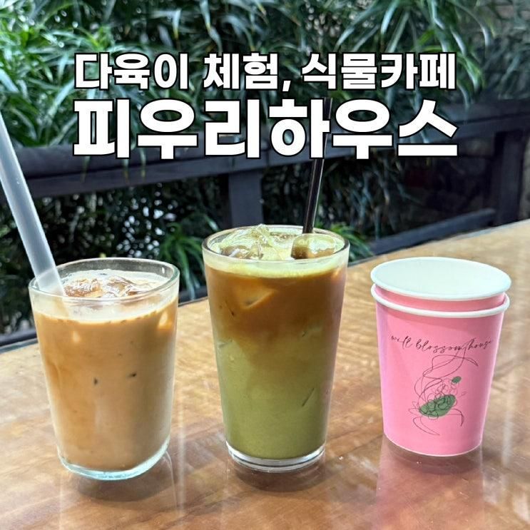 [피우리하우스]파주,다육이 심기 체험할 수 있는 식물 카페!