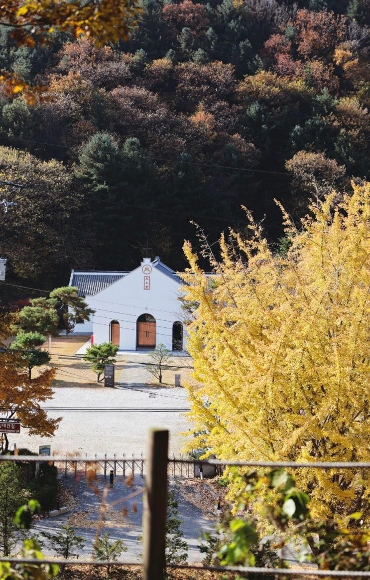 용인 처인구 힐링 여행 명소 '은이성지' 성지순례 청년 김대건 길