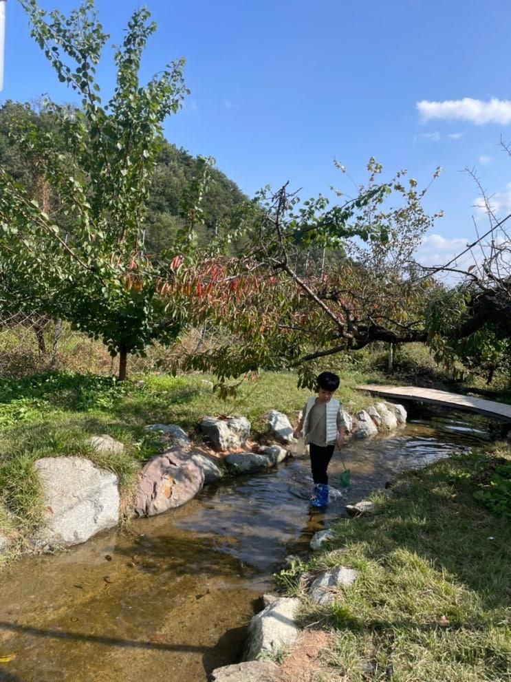영천 아이와 가볼만한곳 신덕리 956 / 신덕리 콩콩팥팥