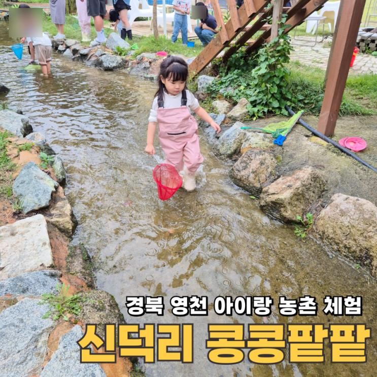 경북 영천 아이랑 가볼만한곳 피자만들기 체험 신덕리 콩콩팥팥