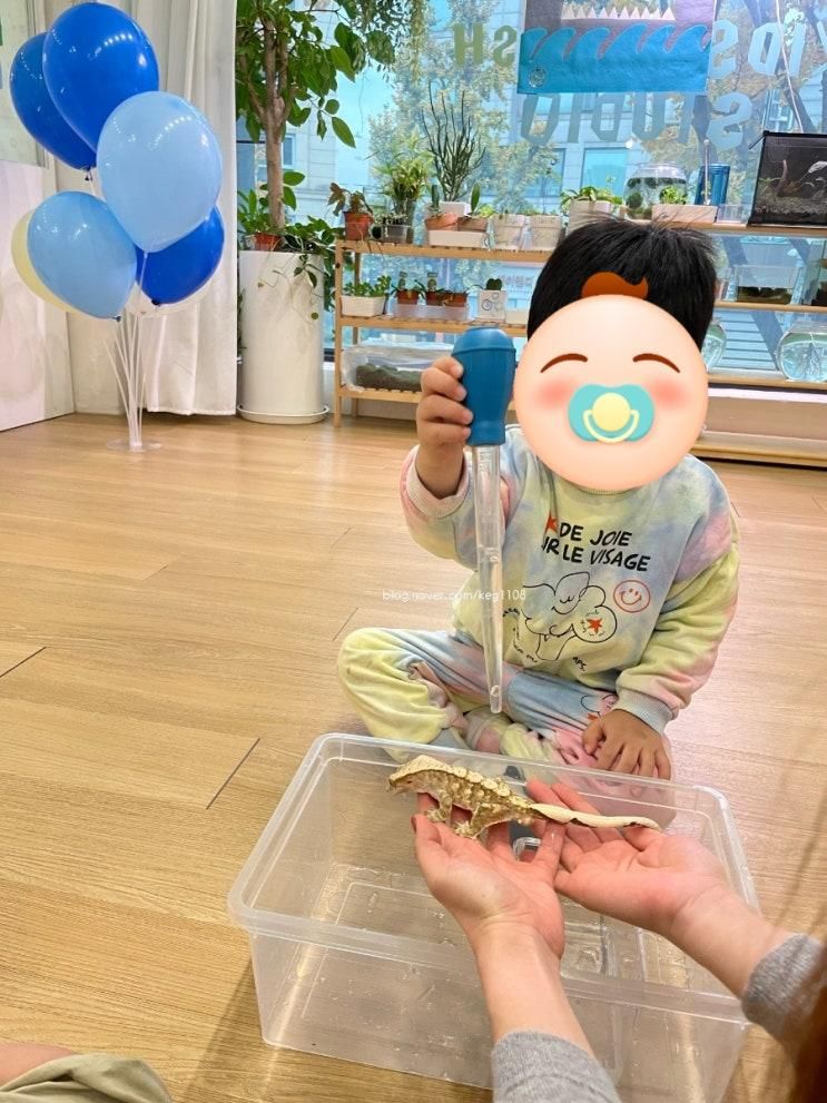 [유아체험] 한남동 유아 키즈 영어 원데이클래스 그로잉그린 내돈내산 4살 자연 놀이 추천