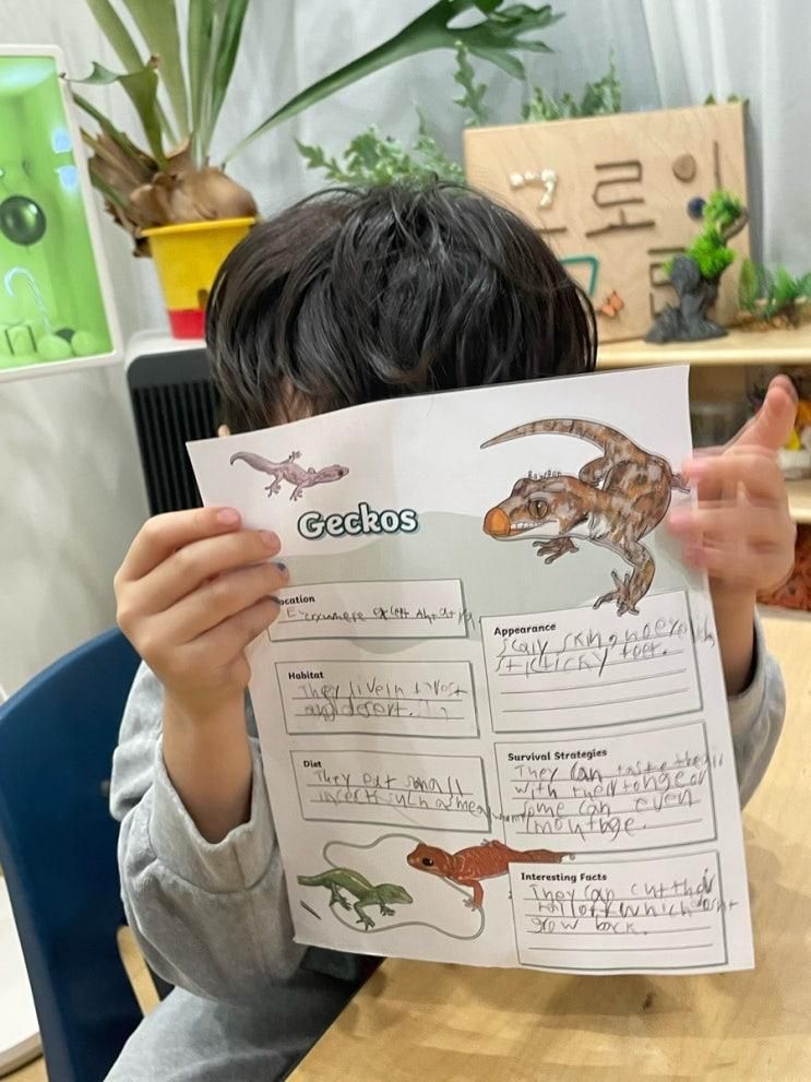 한남동 그로잉그린 자연놀이 영어스튜디오
