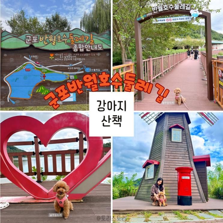 군포반월호수공원 둘레길 강아지와 산책하기