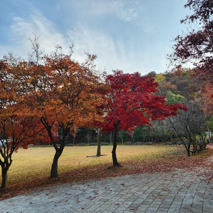 김포 아이랑 태산패밀리파크 가족공원 가을나들이 단풍구경