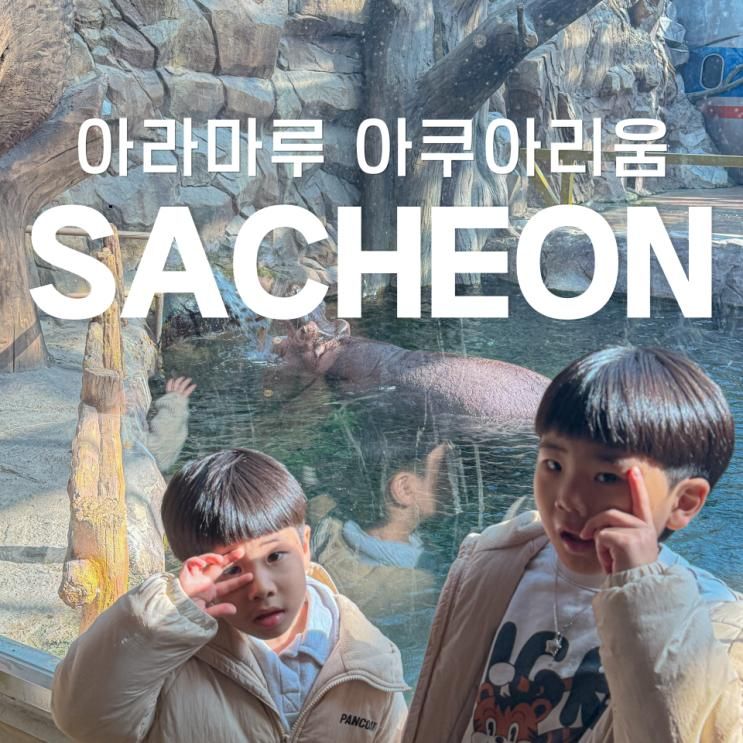 경남 사천 아이와 가볼만한곳 입장료 할인 및 주차 팁 아라마루 아쿠아리움