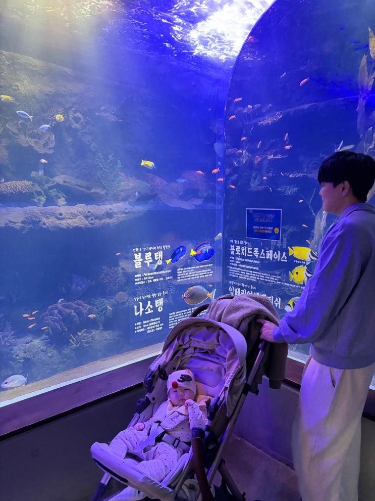 아기랑 사천 아라마루 아쿠아리움 아쉬웠던 후기