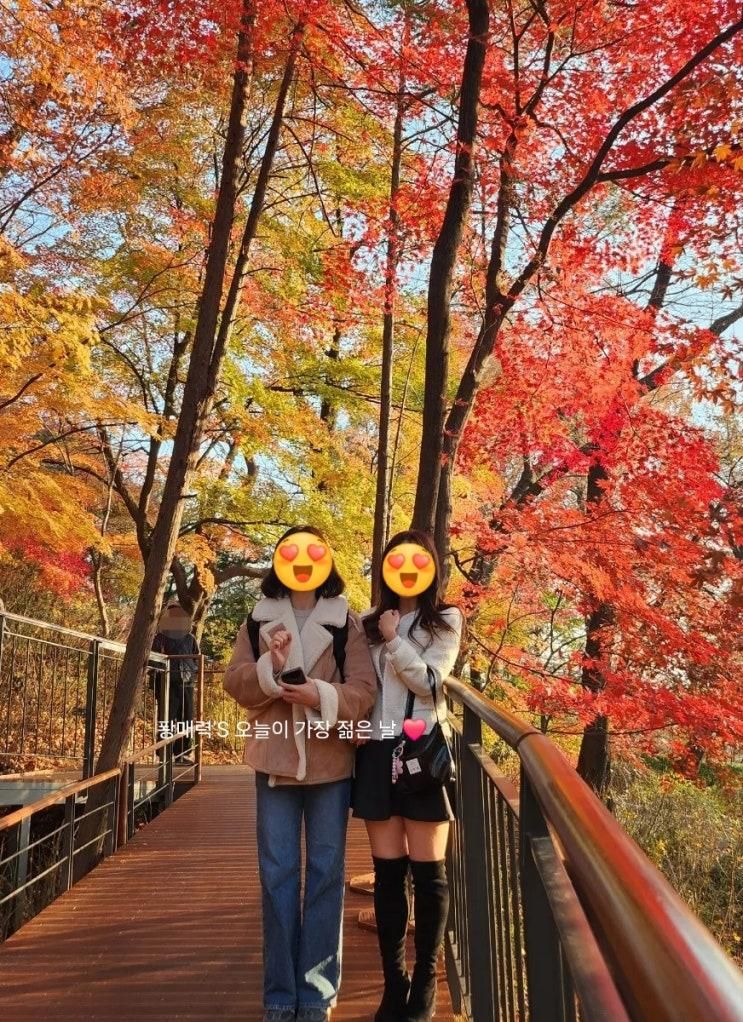 주말기록 / 11월 서울나들이 / 쉐이크쉑 윈터시즌 메뉴 / 가을 끝자락의 백범광장 / 삼순이계단 / 개방된지 1달된 남산하늘숲길 / 신세계스퀘어 크리스마스 영상❤️