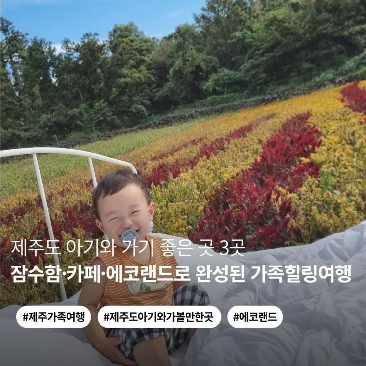제주도 아기와 가기 좋은 곳 | 국제리더스클럽 잠수함·비케이브 카페·에코랜드 체험기