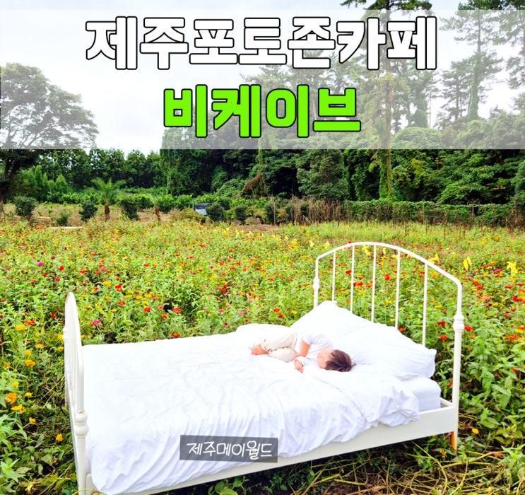 [제주 동쪽 여행 코스 추천] 제주포토존카페 비케이브 제주 조천읍 카페추천