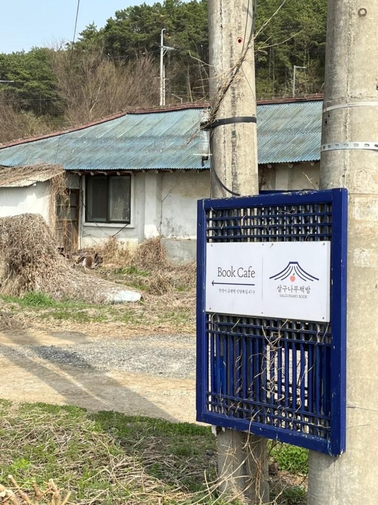 안성 살구나무책방/ 더 짙어진 녹음과 더 높아진 하늘과 더 깊어진 책 만나러 또 가요!