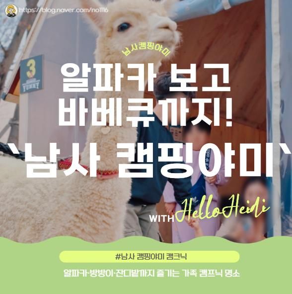 남사 캠핑야미 후기! 알파카,토끼 보고 바베큐까지! 아이와 가볼만한곳