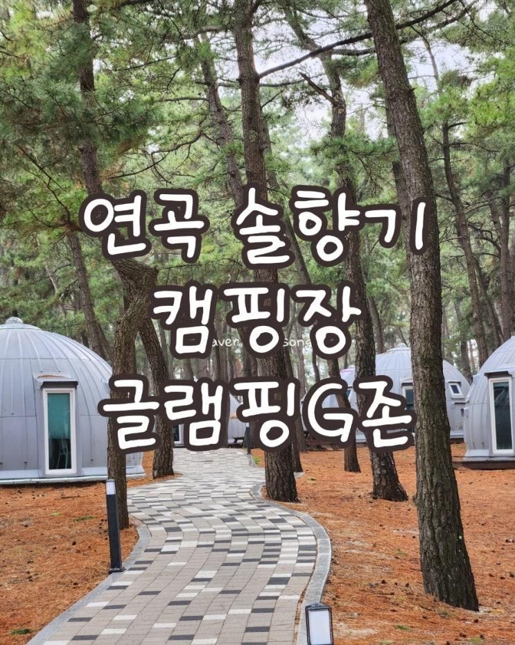 연곡솔향기캠핑장 글램핑G존 화장실만 있었으면 만점!!!!