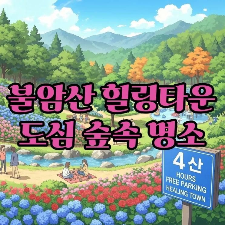 불암산 힐링타운, 4시간 무료 주차까지 되는 도심 속 숲속 명소! 서울 수국명소부터 가을산책까지