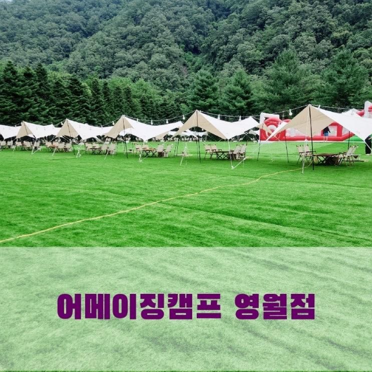어메이징캠프 영월, 영월 수영장 + 캠프닉