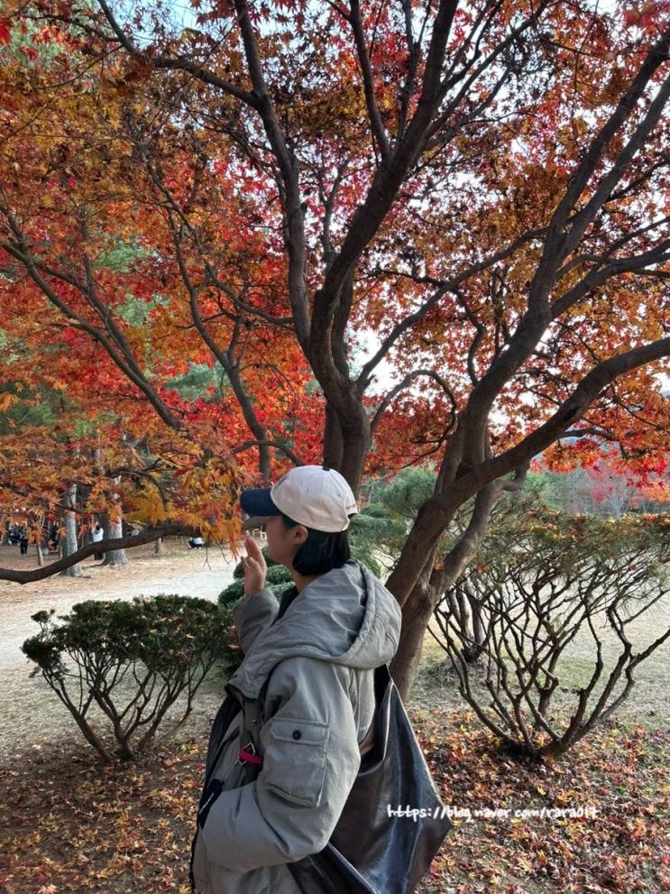 아이랑 춘천 여행 / 가평 레일바이크 매진부터 남이섬까지
