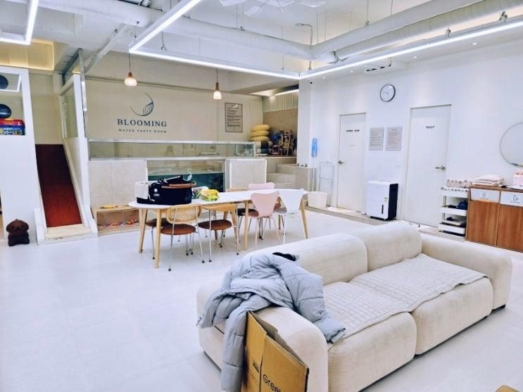 오산 키즈 수영장 [블루밍 워터파티룸] 내돈내산 솔직후기