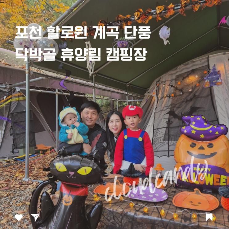 포천 단풍 할로윈 계곡 닥박골 휴양림 캠핑장
