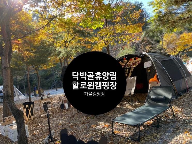 할로윈캠핑 포천 닥박골휴양림캠핑장 두번째방문