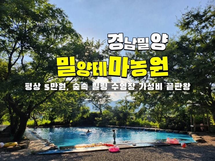 [밀양 밀양테마농원 물놀이] 숲속수영장 🌲 수영장·캠핑·평상까지 한 번에! 밀양 숲속 힐링 캠핑장 명소