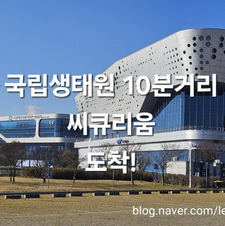 서천 국립해양생물자원관 씨큐리움 후기｜국립생태원과 함께 가기 좋은 퀄리티 높은 박물관
