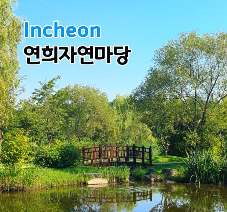 연희자연마당 인천 연꽃 피는 시기 여름! 연못, 조류관찰, 놀이터