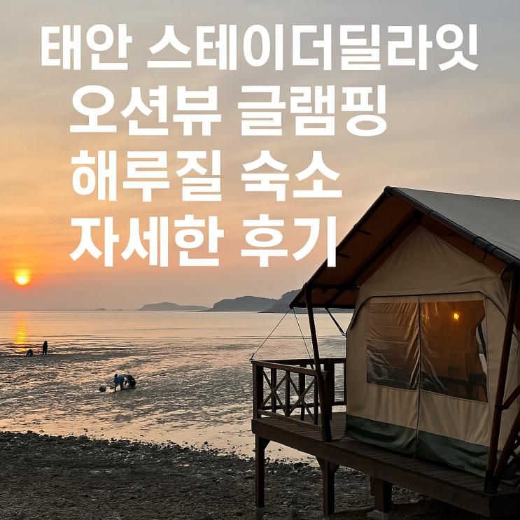 태안 스테이더딜라잇 오션뷰 글램핑 해루질 숙소 자세한 후기