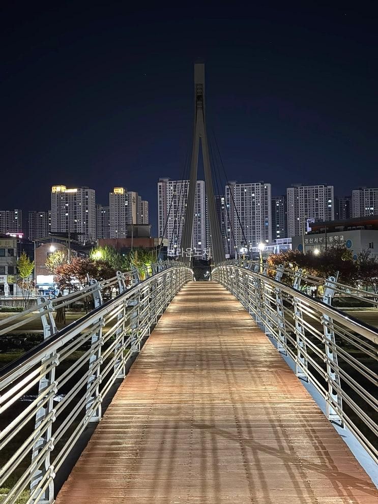 경산 남천둔치 강변 산책로 주차장 야간 반려견과 산책하기 좋은 곳