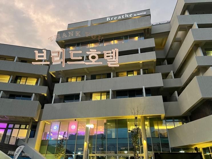 양양 브리드호텔 레이드백 미디움 310호 레이드백 라지 405호 투숙기