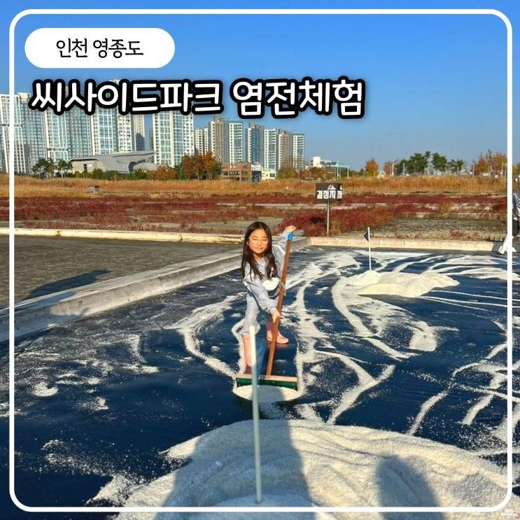 씨사이드파크 염전체험 예약 주차 리얼 후기