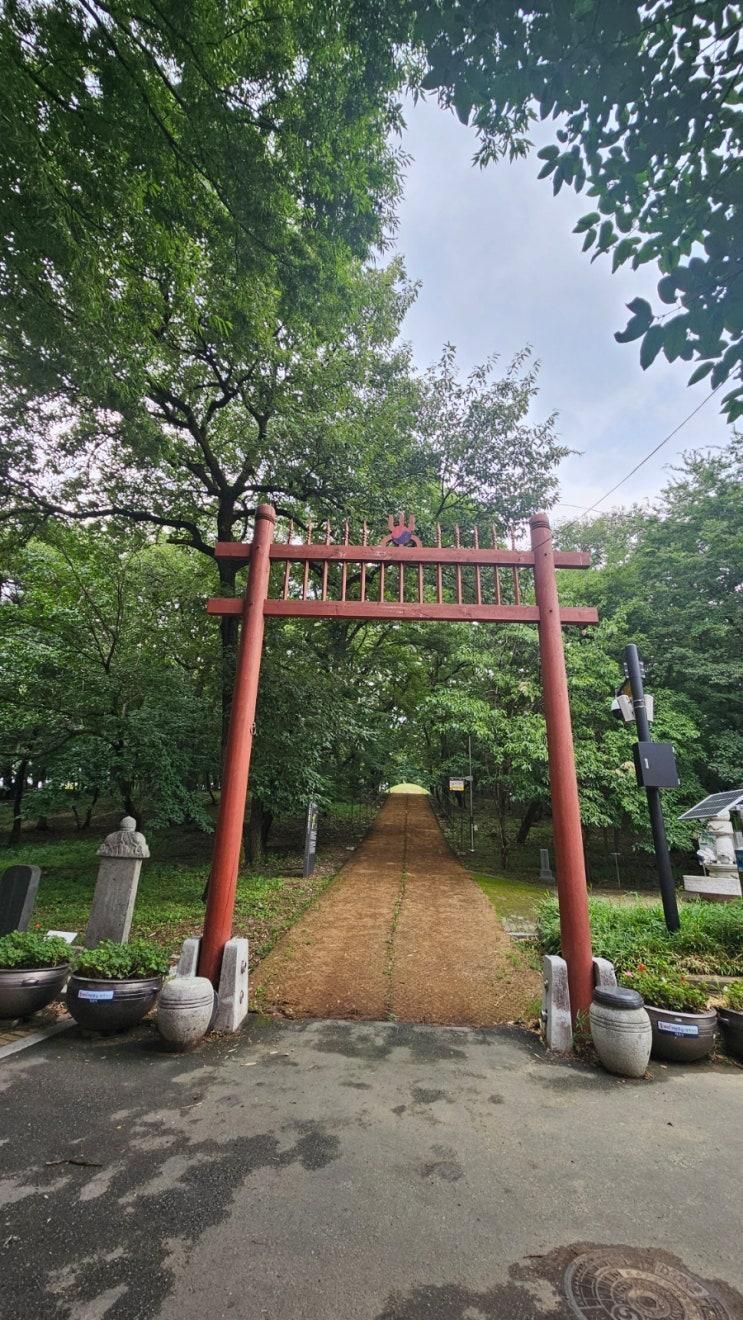🌳 평지에 숨은 천년의 숲, 경산 자인 ‘계정숲’ 산책기