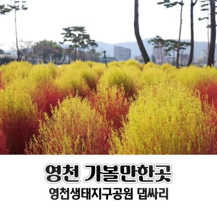 대구 근교 경북 영천 가볼만한곳 영천생태지구공원 댑싸리 주차장 위치