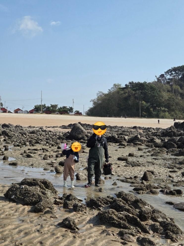[영종도 선녀바위 해수욕장 해루질] 아들과 함께한 갯벌 체험, 가족 추억 한가득 🌊🦀(11월)