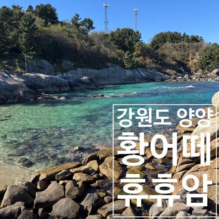 황어 물고기떼가 있는 사찰, 임산부도 가기 좋은 양양 휴휴암 꼭 들러보세요.