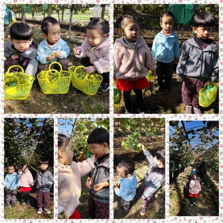 영천농촌체험 & 최무선과학관 견학