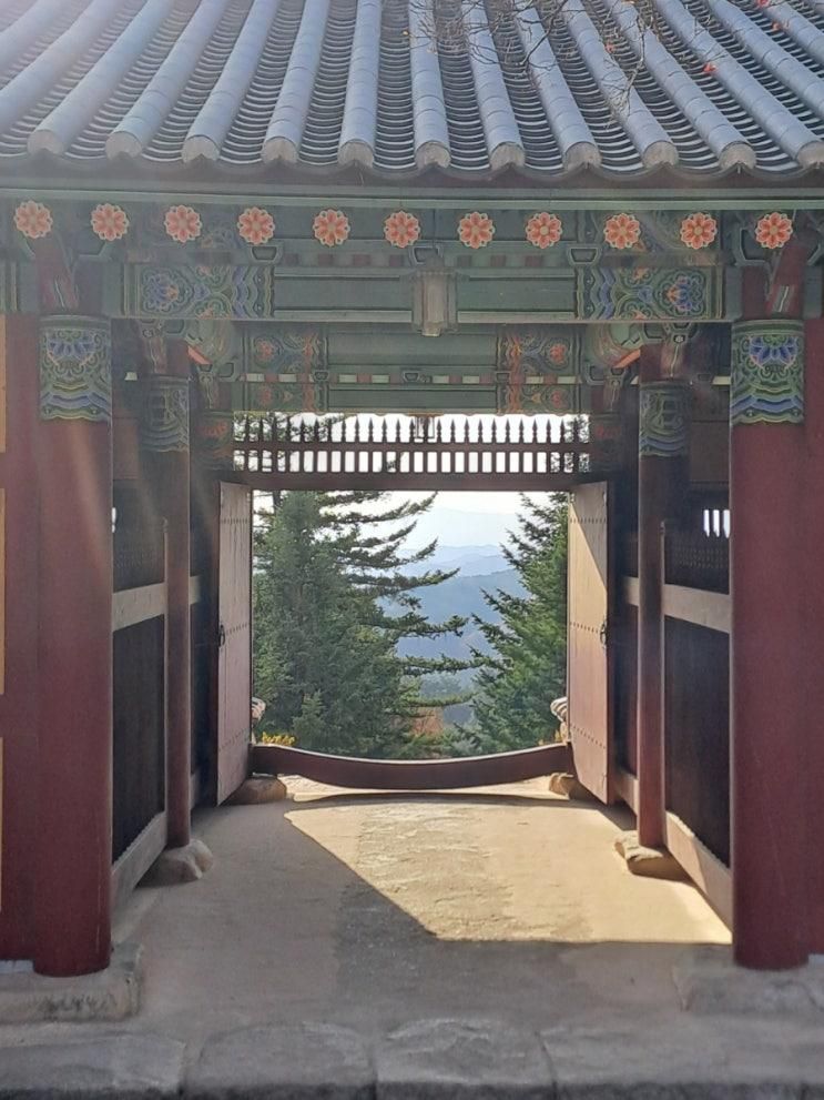 겨울여행 1일차, 영주 + 울진: 영주 부석사, 콩세계과학관, 여우 생태관찰원, 울진 덕구온천